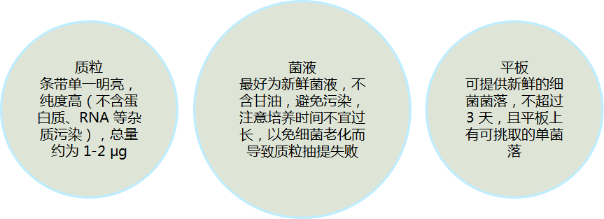 圖片10 圖片10