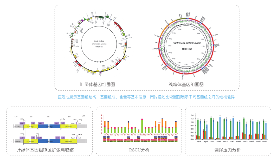 2017-09-26-19-01-58-majorbio 2017-09-26-19-01-58-majorbio
