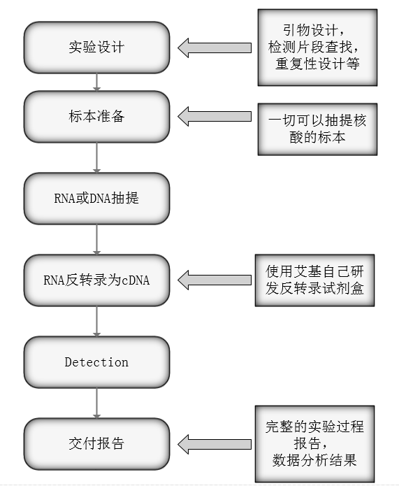 圖片1 圖片1