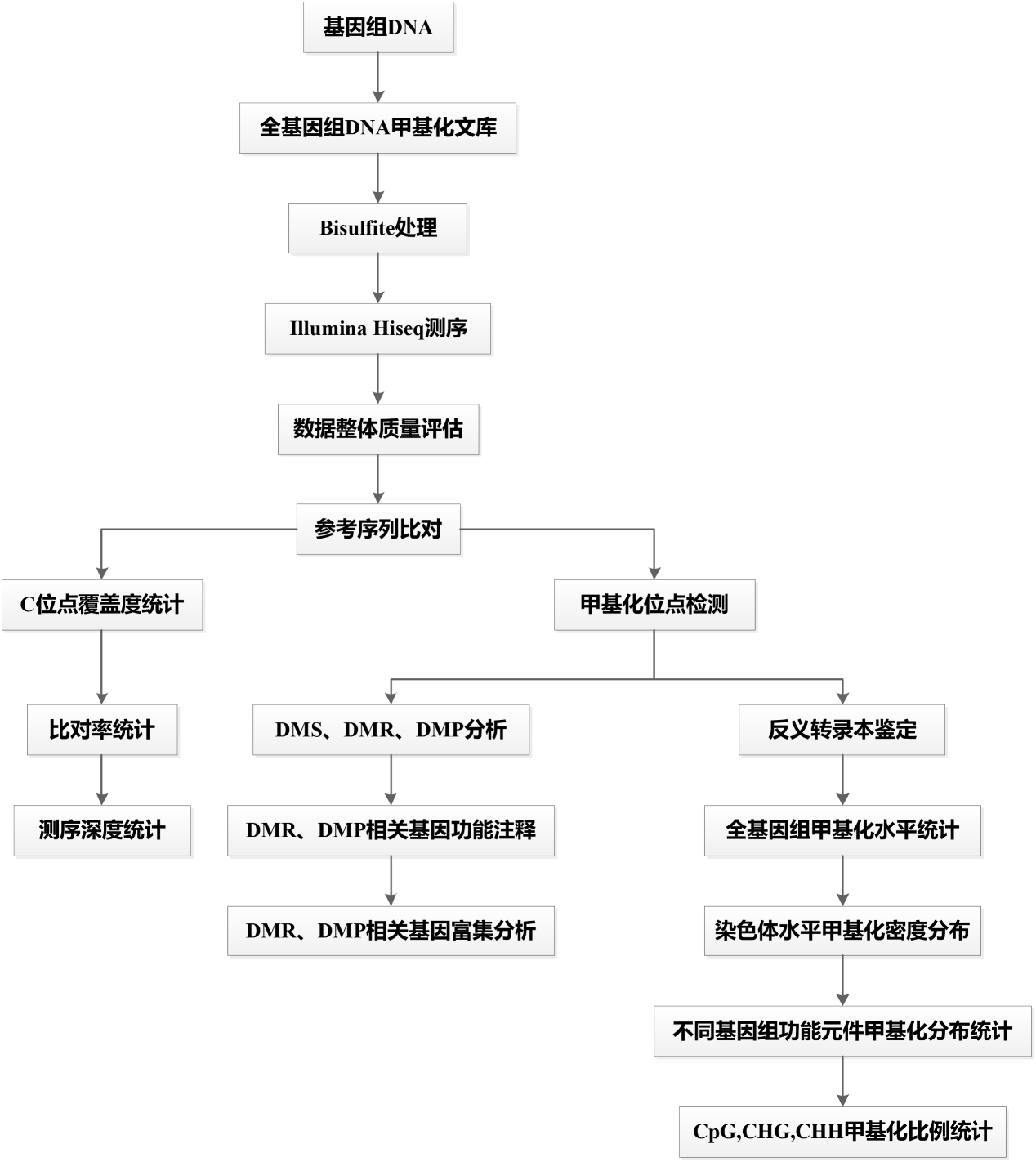 圖片15 圖片15