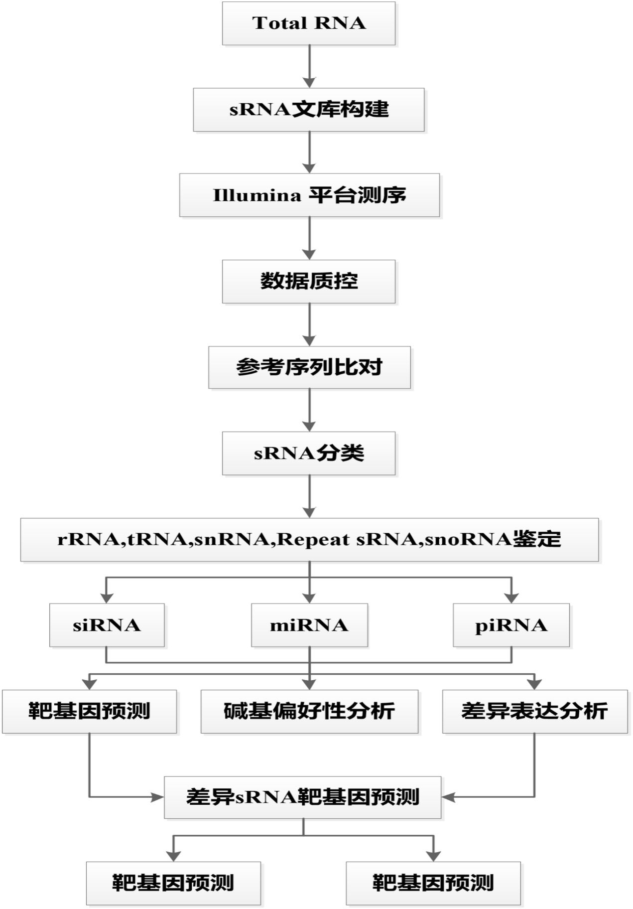 圖片6 圖片6