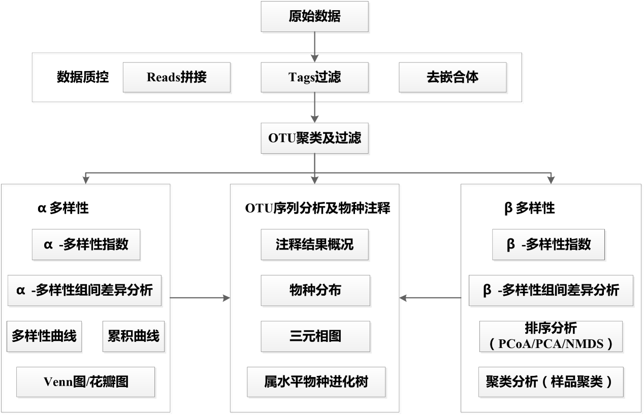 圖片4