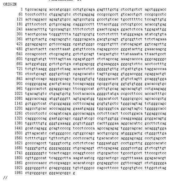 640 (17) 640 (17)