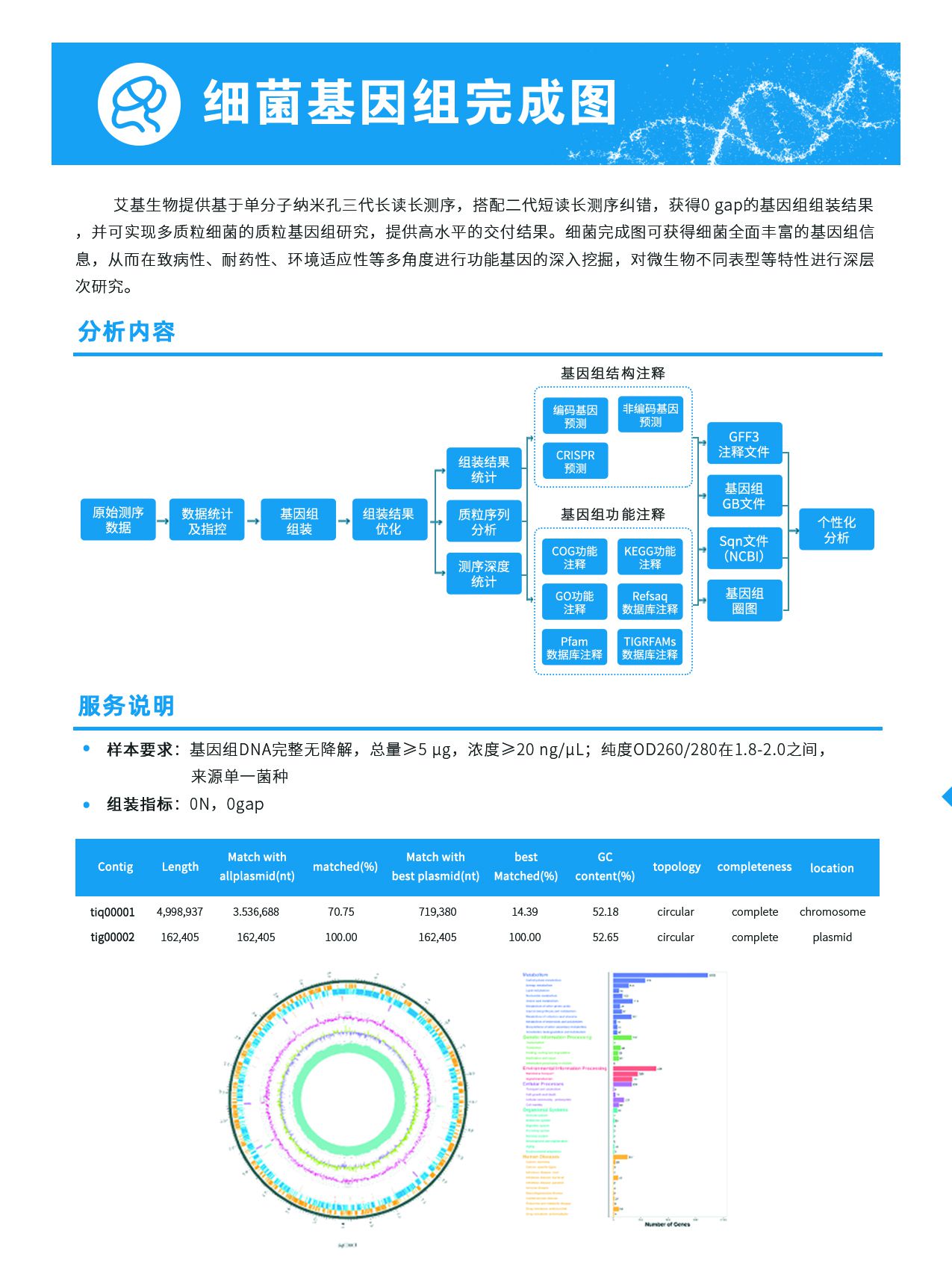 5.細(xì)菌基因組完成圖